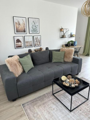 Dream Apartments